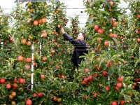 Еврокомиссия оценила эффект от российских антисанкций: рост экспорта до 30%