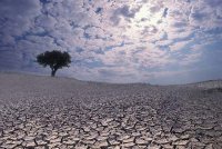 Погода-2050: что будет с Россией, Америкой и с другими странами?