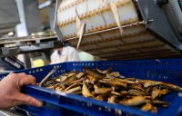 Роспотребнадзор приостанавливает с 14 августа ввоз в РФ польских шпрот