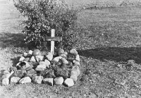 Отдать трибунал под трибунал или повесть о Человеке