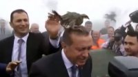 На открытии мечети Эрдогана атаковала птица