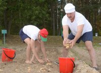 Ничего необычного: Бацька копает картошку