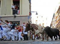 Опасная традиция: быки убили 7 человек в Испании