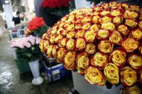 Эквадор поставит цветы в Россию, минуя Голландию
