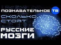 Русскии&#774; бакалавр равен западному доктору наук или Сколько стоят «русские мозги»?