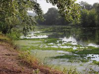 Экологическая катастрофа на Украине: в стране пересыхают реки