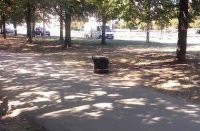 В Харькове возле жилой многоэтажки нашли гранату