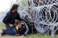 Через забор на новую родину