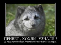 Вице-премьер Украины: энергетика страны находится в предынфарктном состоянии