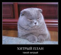 Хитрый план "братство"