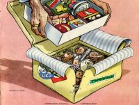 В ООН обеспокоены намерением властей ЛНР вытеснить «гуморганизации»