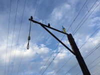 На границе с Крымом пропала фура с грибами