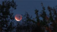 «Кровавая луна» впечатлила жителей российских городов