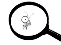 Владимир Путин: я не заметил, что президент Украины не присутствовал на моей речи