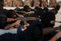 Сенат США призвал прекратить подготовку боевиков сирийской оппозиции