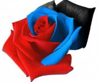 Политинформация в стихах