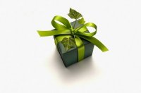 Подарок от президента