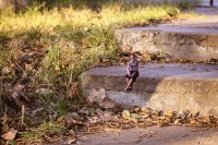 История маленького человека