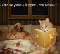 А праздничек в лучших традициях !