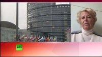 Евродепутат выступила с просьбой о немедленной приостановке вступления Турции в ЕС