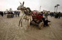 Эрдоган перегрузил ослика, поможет ли евроморковка?