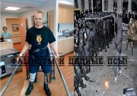 Фашисты и цепные псы!