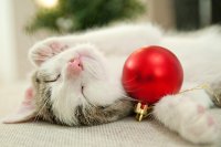 Праздник к нам приходит