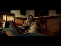 РТ: как работает «кремлевская пропаганда», или Симоньян, медведь и бобровый сок