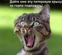 Ничто не вечно, кроме Михи!