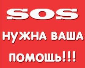 Друзья, нужна Ваша помощь!