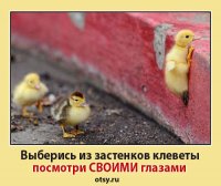Мотиваторы, демотиваторы о священниках и Церкви
