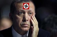 Американские СМИ: За «восхищение Гитлером» Эрдогана предложили наказать санкциями