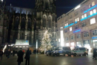 Установлены личности 32 нападавших в Кёльне, 29 из них — беженцы