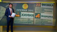 Год открытий: научные достижения 2015 года