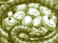 Глобализация и предательство элит. Михаил Делягин