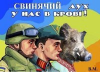 ВСУ воруют свиней под предлогом борьбы со свиным гриппом