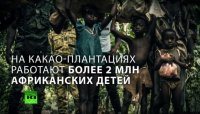 На какао-плантациях Нестле работают более 2-х миллионов детей