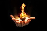 Больное сердце лечится сердцем любящим (истории)