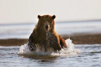 Мировой кризис? Какой кризис? Да пошел ты в…, кризис! Мы живее всех живых!