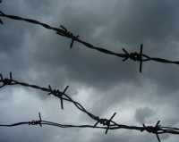 Корнилов: Колючая проволока и максимальное поражение в правах - неотвратимы для Донбасса в случае возвращения в Украину