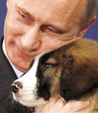 Лабутеновый оскал Кремля