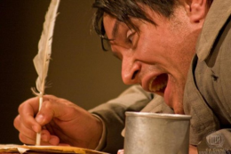 Записки из сумасшедшего дома...