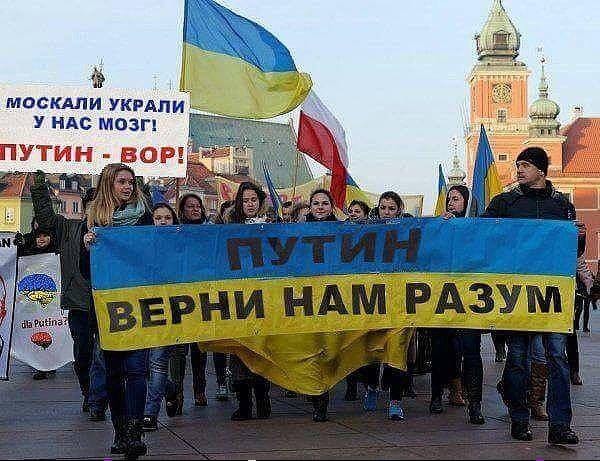 Страна-камикадзе