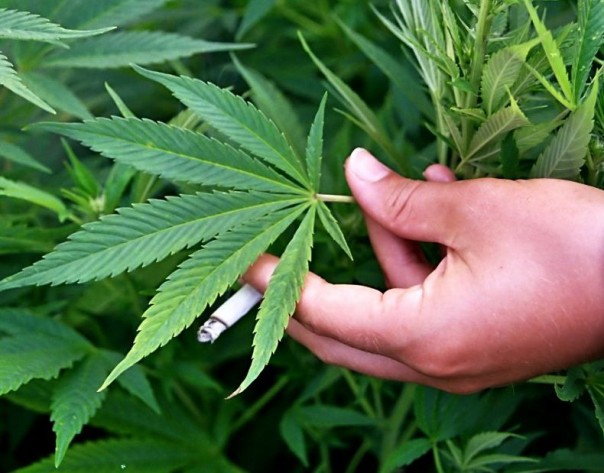 Украинские ученые разработали новый ударный беспилотник