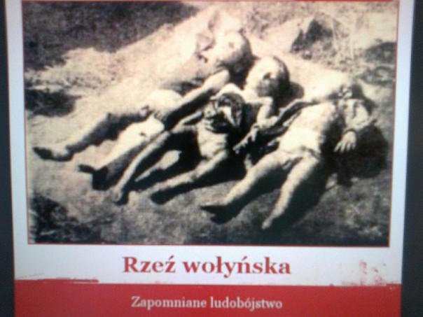 Польский журналист предложил отправить на Евровидение песню о Волынской резне
