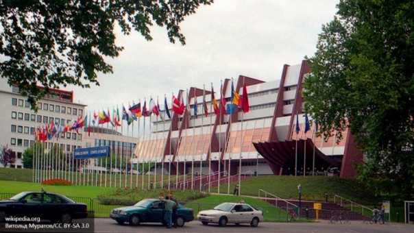 Совет Европы нагадил у России под дверью — депутат Госдумы