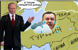 Мои новости дня