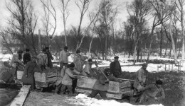 Насильственная ссылка или добровольное переселение?