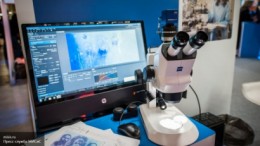 Ядерные батарейки созданы в России