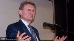 «Блок Петра Порошенко» умоляет польского «конюха» стать премьером Украины